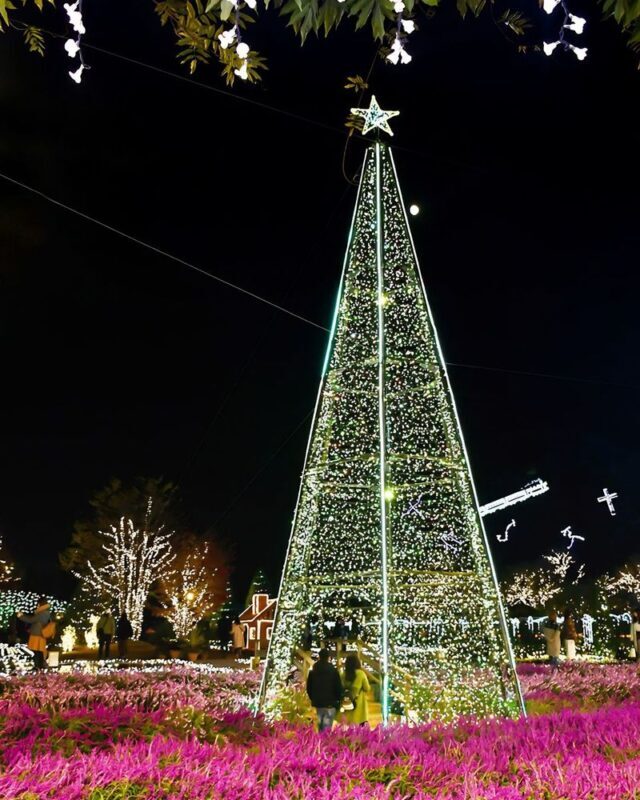 Ashikaga Flower Park & Sano Outlets Full-Day Private Tour - The private format and the driver
