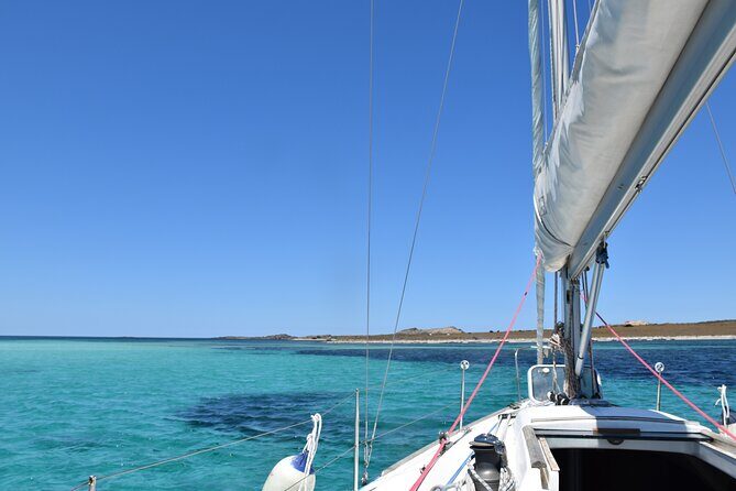 Asinara sailing experience among the coves of the island - A Fully Immersive Day on Asinara’s Waters
