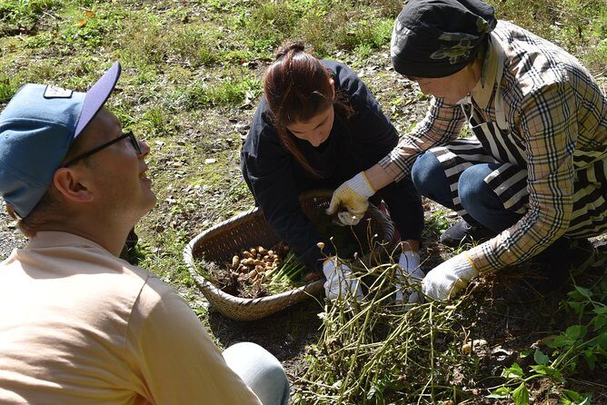 Aso Caldera and Farm Experience Tour - The Experience in Detail