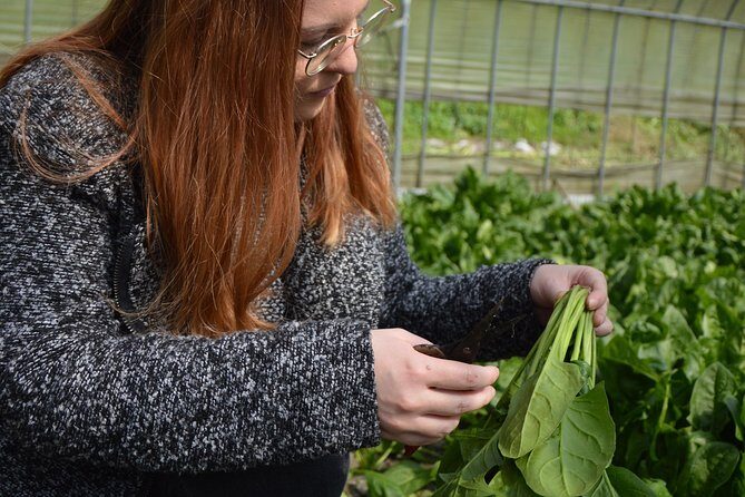 Aso Cycling and Farming Private Tour - Frequently Asked Questions