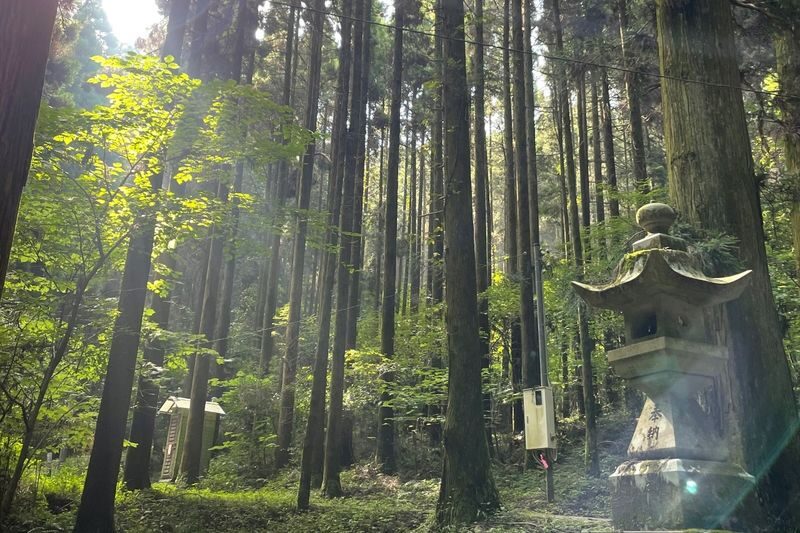 Aso Shrine & Mt. Aso Crater & Kamishikimi Kumanoimasu Shrine Day Trip - What makes this Aso day trip worth considering