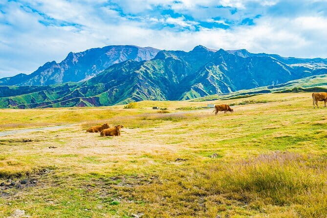 Aso Vocano, Grassland,Onsen and Aso shrine 1-Day Tour - Exploring the Day Step by Step