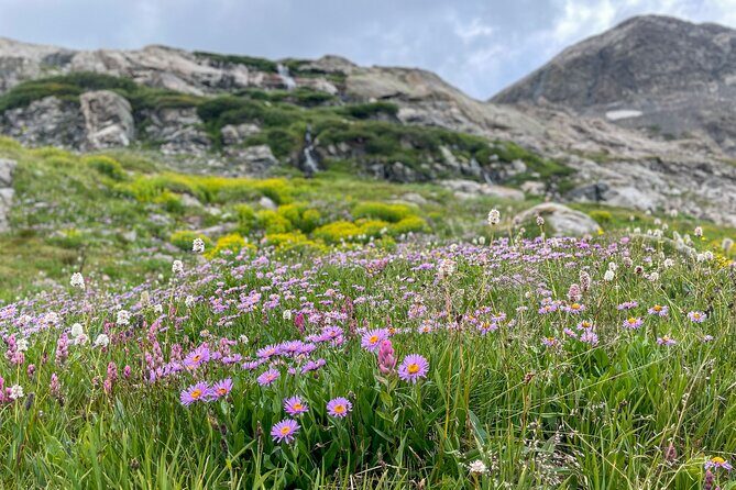 Aspen via Independence Pass Private Colorado Adventure Tour - Frequently Asked Questions