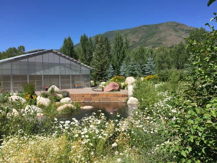 Aspen's Off the Beaten Path Scenic Walking Tour - Exploring Aspen’s Hidden Charms: A Balanced Look at the Off the Beaten Path Scenic Walking Tour