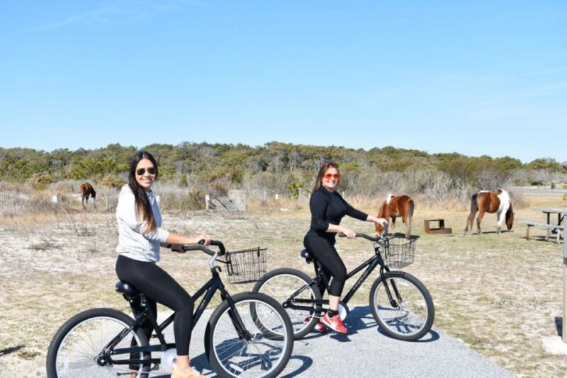 Assateague Island: Bike Rental from the Bayside Stand - The Sum Up: Who Will Love This?