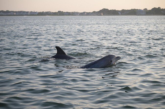 Assateague Island Private Cruise Tour - Frequently Asked Questions
