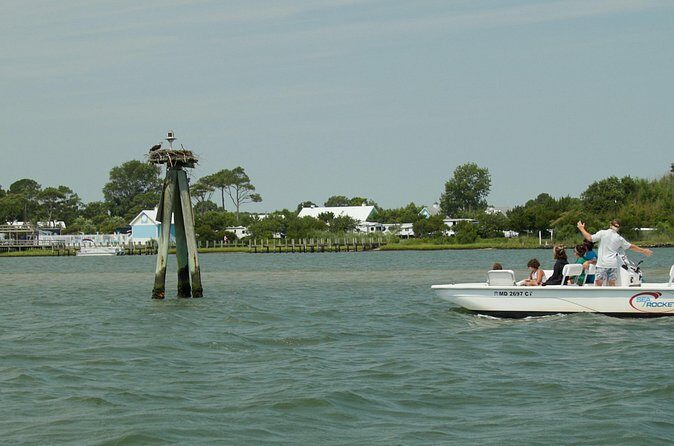 Assateague Island Private Cruise Tour - Additional Notes