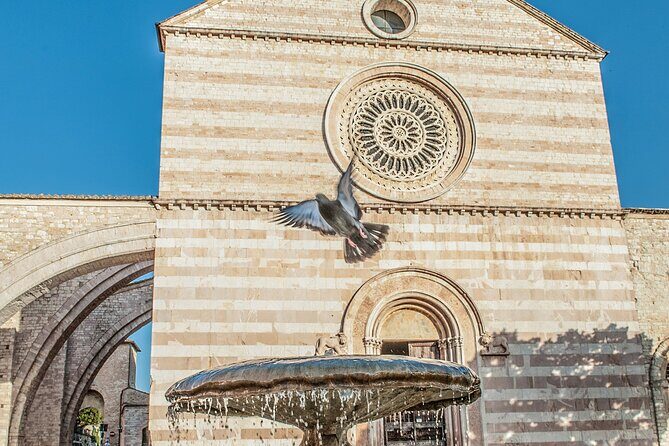 Assisi: 3-hours tour including St. Francis Basilica tickets - Who Will Love This Tour?