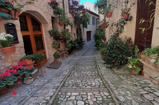 Assisi and Spello Full Day Private Walking Tour - Final Thoughts