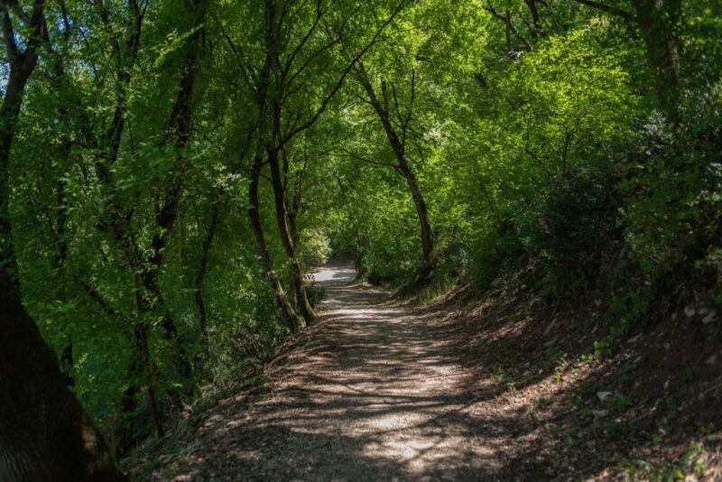 Assisi: Bosco di San Francesco Entry Ticket - FAQ