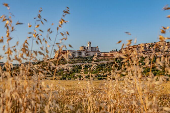 Assisi on the Footsteps of St. Francis and Carlo Acutis - Exploring Assisi on the Footsteps of Saint Francis and Carlo Acutis