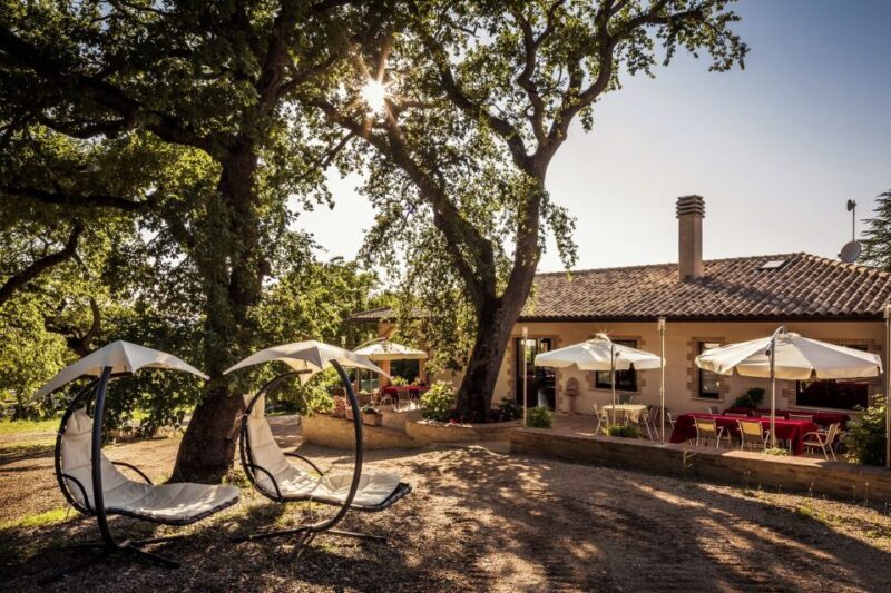 Assisi: Organic Wine and Cheese Tasting - A Deep Dive into the Assisi Organic Wine and Cheese Tasting