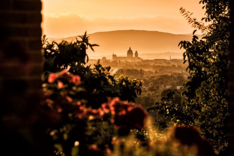 Assisi: Organic Wine and Cheese Tasting - Final Thoughts: Is This the Right Choice for You?