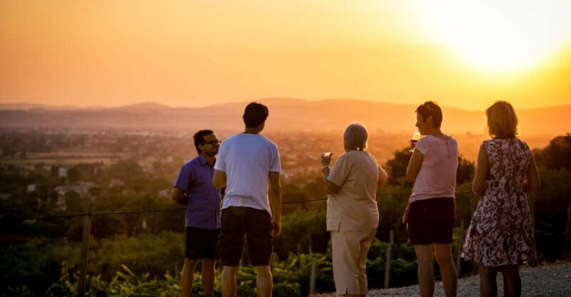 Assisi: Organic Winery Tour with Tastings & Typical Food - Assisi: Organic Winery Tour with Tastings & Typical Food