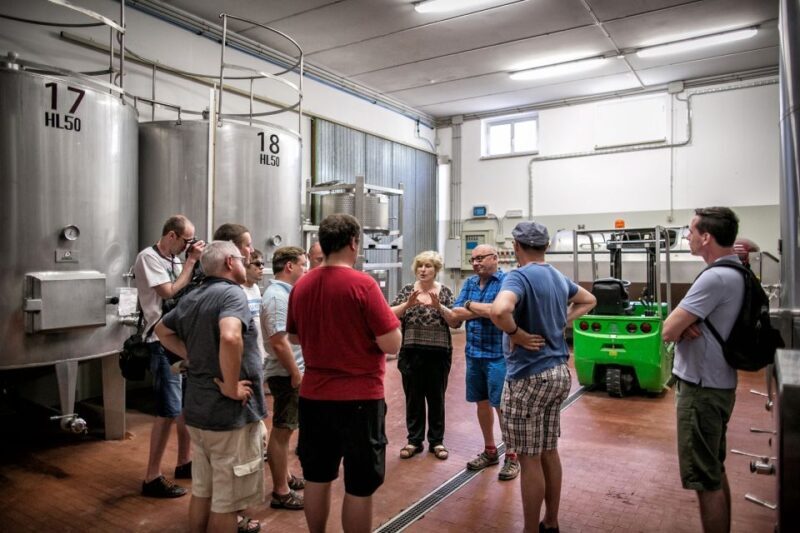 Assisi: Organic Winery Tour with Tastings & Typical Food - Final Thoughts