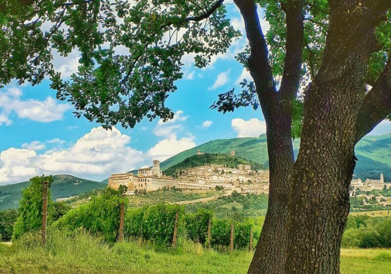 Assisi: Wine tasting, gourmet pairing, walk in the vineyards - Assisi: Wine Tasting, Gourmet Pairing, Walk in the Vineyards