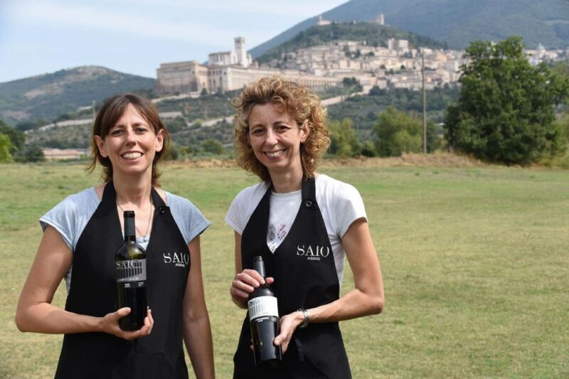 Assisi: Wine tasting, gourmet pairing, walk in the vineyards - Final Thoughts: Who Will Love This Experience?