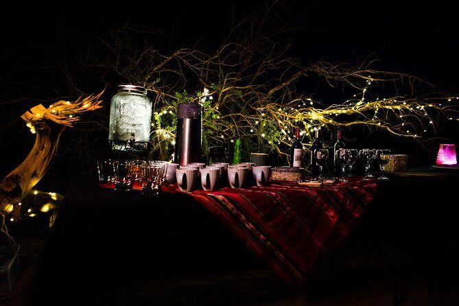 Astronomical Tour "Under the Atacama Night" - The Value of the Experience