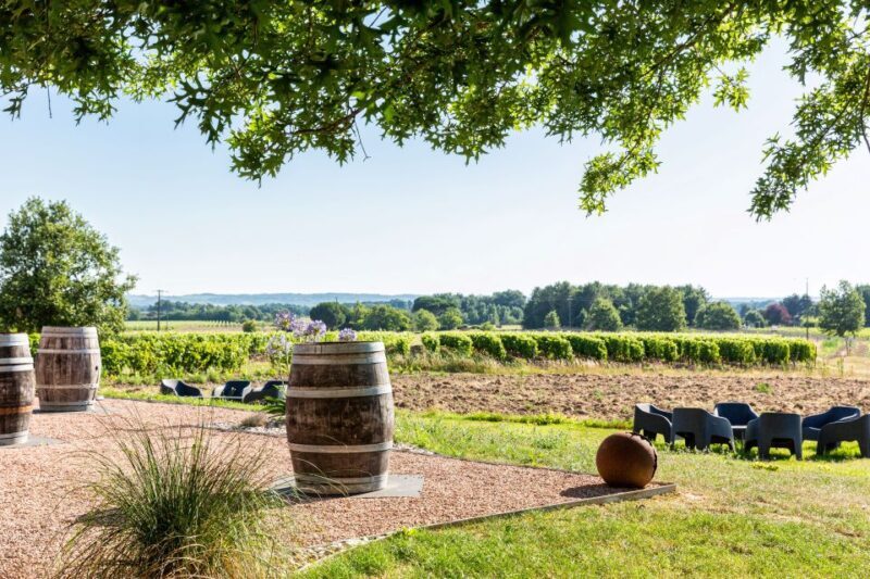 At the gates of Toulouse: from the vine to the cellar - Authenticity and the value of this experience
