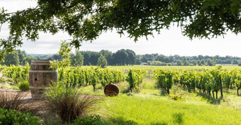 At the gates of Toulouse : Gourmet Tour - Walk and Tastings - Key Points