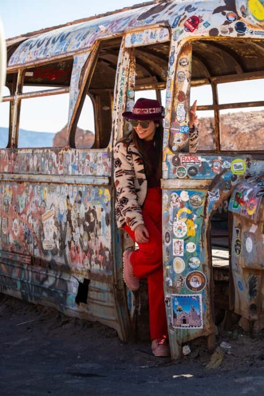 Atacama Desert and Magic Bus Visit - Key Points