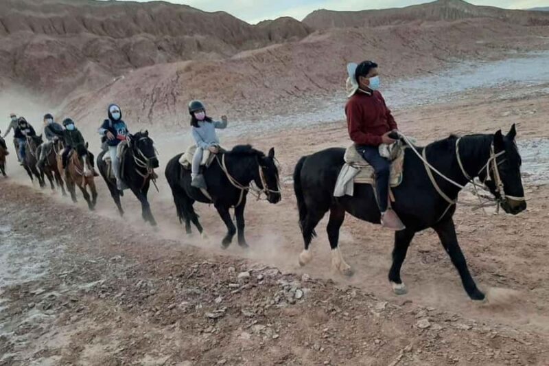 Atacama Desert: Horseback Riding Adventure with Scenic Views - Who Will Love This Tour?