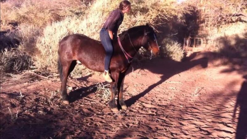 Atacama Desert: Horseback Riding Adventure with Scenic Views - The Itinerary: Highlights of the Ride