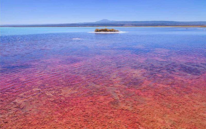 Atacama Desert: Refreshing float in Laguna Cejar and Sunset - FAQ