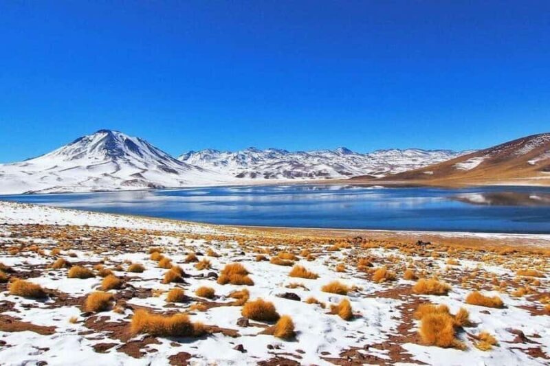 Atacama: Piedras Rojas, Socaire, and Altiplanic Lagoons Tour - Who Should Consider This Tour?