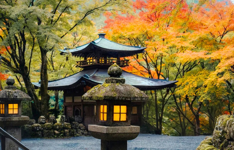 Atago Nenbutsuji Temple/Jojakkoji Temple & Katsuoji Temple & Arashiy - Three hours in Arashiyama, with room to choose