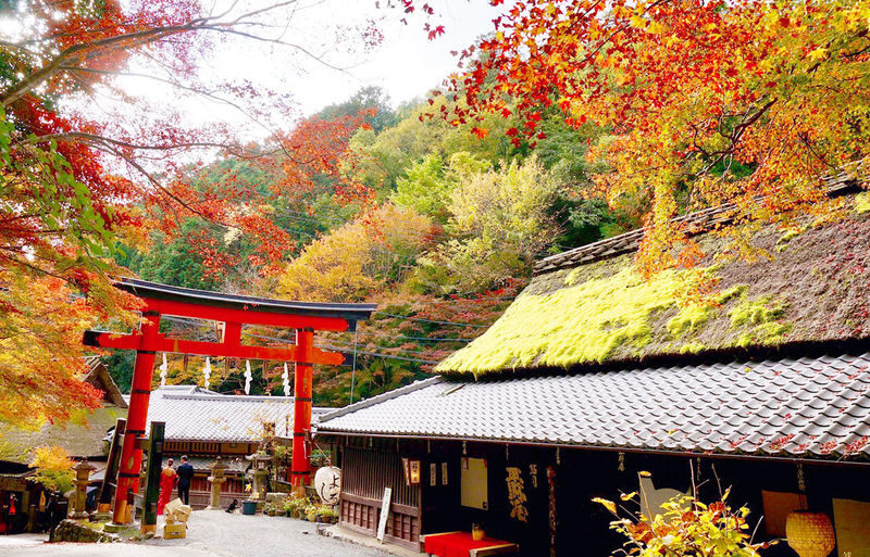 Atago Nenbutsuji Temple/Jojakkoji Temple & Katsuoji Temple & Arashiy - What the price pays for, and what it doesn’t