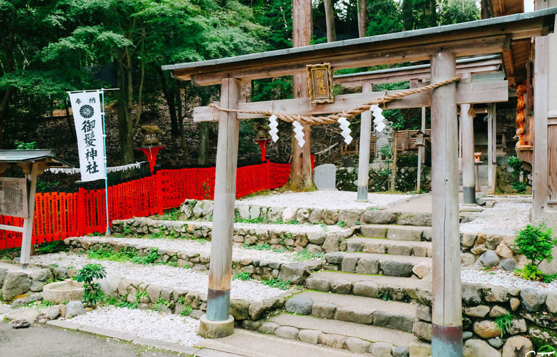 Atago Nenbutsuji Temple/Jojakkoji Temple & Katsuoji Temple & Arashiy - Who will get the most from this day
