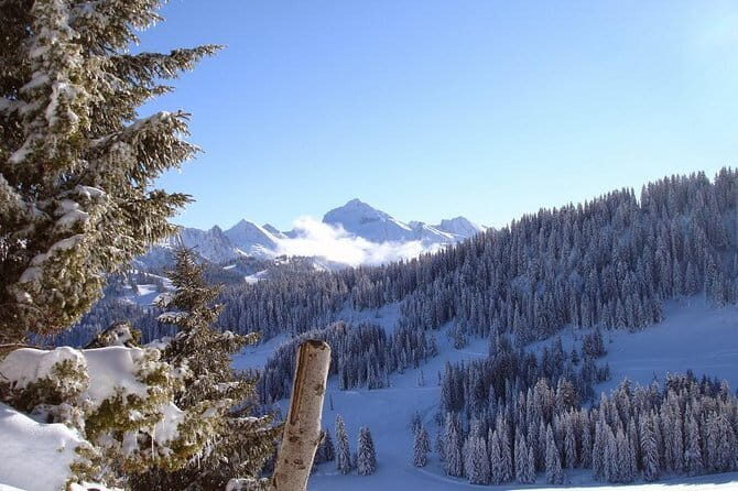 Atal Tunnel Sightseeing Tour Covering Sissu & Solang Valley - Who Will Love This Tour?