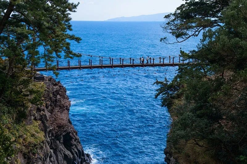 Atami Fireworks Limited: Izu & Atami Fireworks / Hakone Atami Fireworks Festival One-Day Tour | Depart from Tokyo - Two hours at Sun Beach, then the late ride back