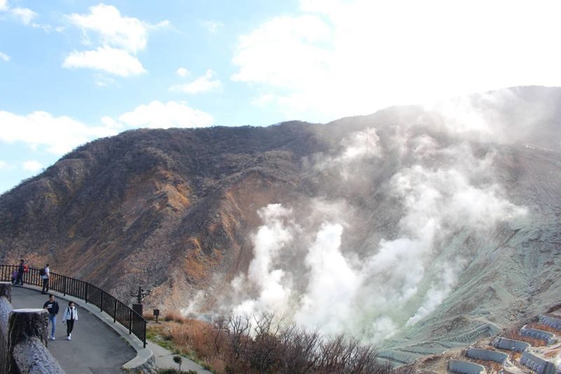 Atami Fireworks Limited: Izu & Atami Fireworks / Hakone Atami Fireworks Festival One-Day Tour | Depart from Tokyo - Who should book, and who should think twice