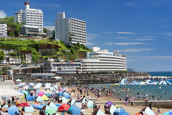 Atami Full-Day Private Tour with Government-Licensed Guide - Final Thoughts: Is This Tour Right for You?