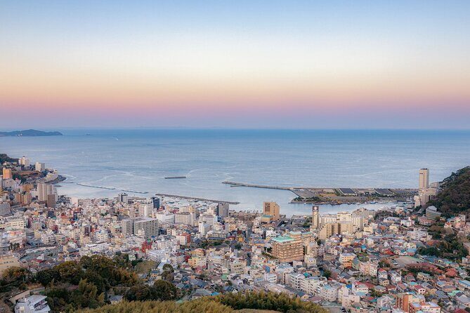 Atami Half-Day Private Tour with Government-Licensed Guide - Who is This Tour Best For?