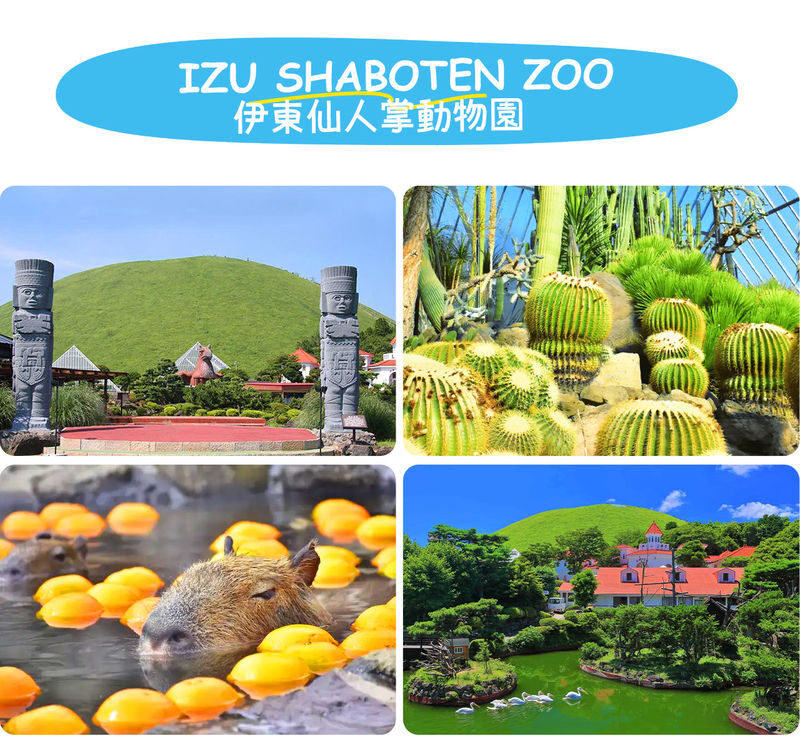 Atami/Ito | Mt. Omuro (Including Ropeway), Izu Skyline, Jogasaki Coast, Marine Town 1-Day Tour | Departing from Shinjuku - The pace, price and real value