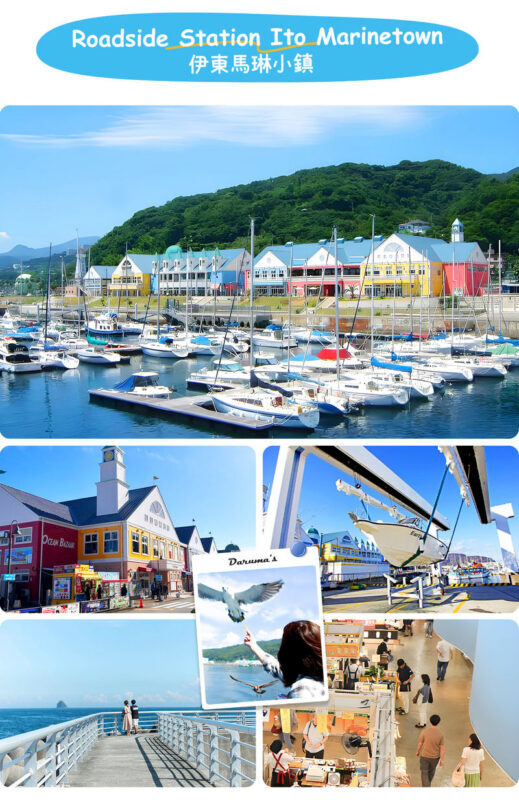 Atami/Ito | Mt. Omuro (Including Ropeway), Izu Skyline, Jogasaki Coast, Marine Town 1-Day Tour | Departing from Shinjuku - Should you book it?