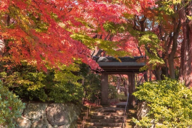 Atami: MOA Museum of Art Admission Package - Key Points