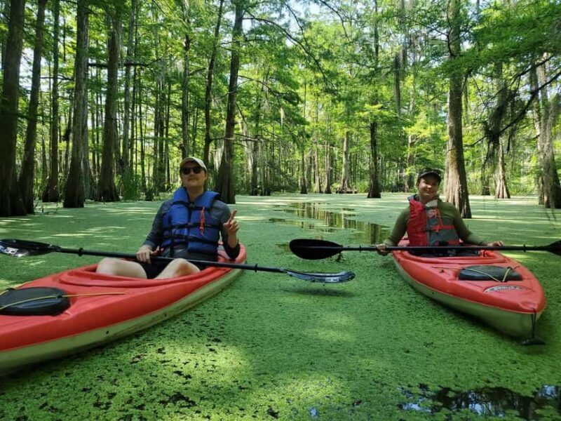 Atchafalaya Basin: 2.5 Hr. Guided Kayak Tour - The Sum Up
