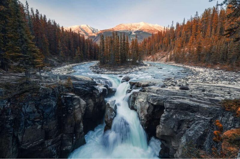 Athabasca Falls/Abraham,Sunwapta Falls, Icefield, Peyto Lake - Exploring the Canadian Rockies: A Detailed Look at the Tour