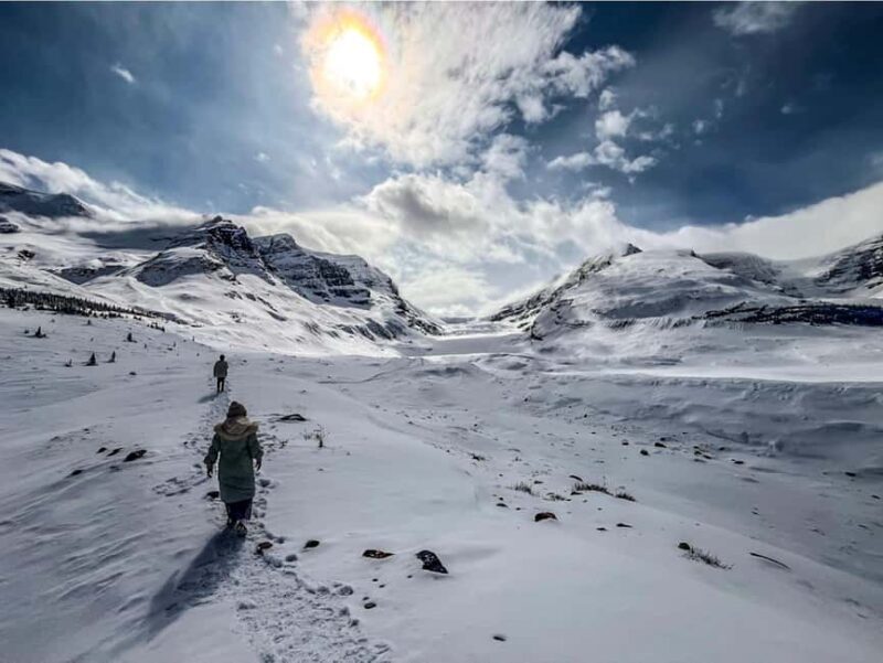 Athabasca Falls/Abraham,Sunwapta Falls, Icefield, Peyto Lake - The Sum Up: Is This Tour Worth It?