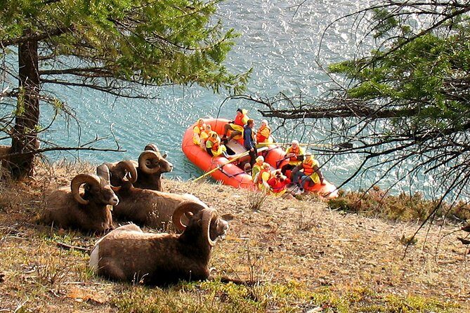 Athabasca River Easy Scenic Raft Trip - Who Should Consider This Tour?