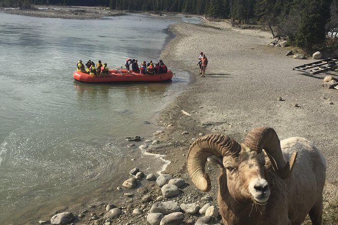 Athabasca River Easy Scenic Raft Trip - FAQ