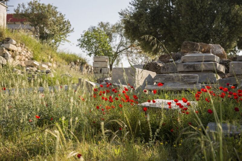 Athens: Acropolis Beat the Heat Guided Tour - Practical Details for Planning Your Visit