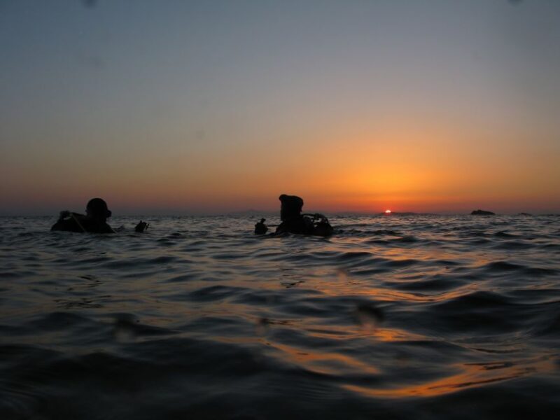 Athens: Adventure Dives in Nea Makri for Certified Divers - Diving Sites and Their Unique Appeal