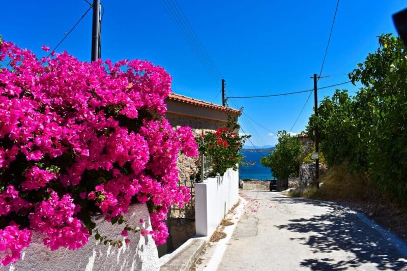 Athens: Agistri, Metopi & Aegina Cruise with Meals & Drinks - Introduction: A Day on the Greek Seas
