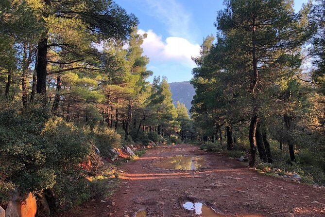 Athens Backcountry Shore Excursion to Parnitha Mountain - Who Would Love This Tour?