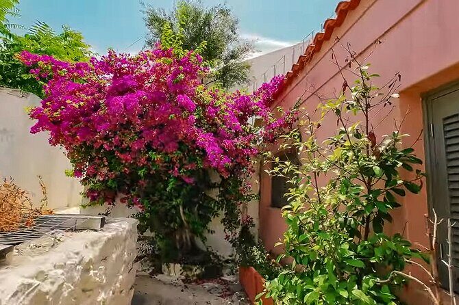 Athens Beauty 4h Private Walking tour - The Experience in Practice: What You Can Expect